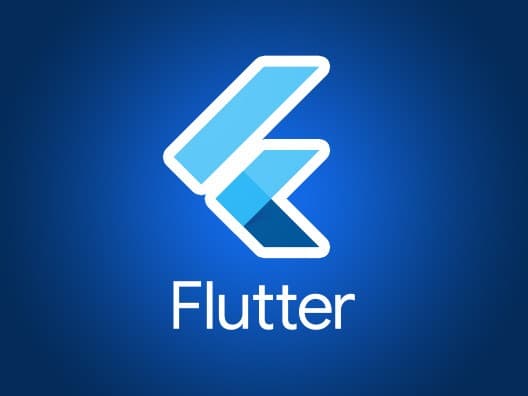 Flutter Developer